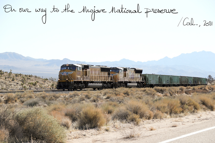 Mojave National Park, The French Dilettante